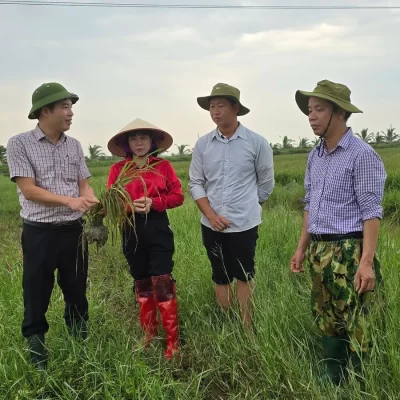 Chuyển đổi xanh