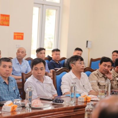Vicem Hoàng Mai
